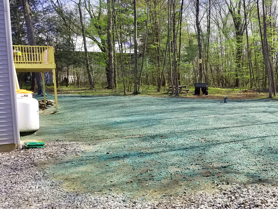 hydroseeding CT cost from TNT Landscaping & Excavation