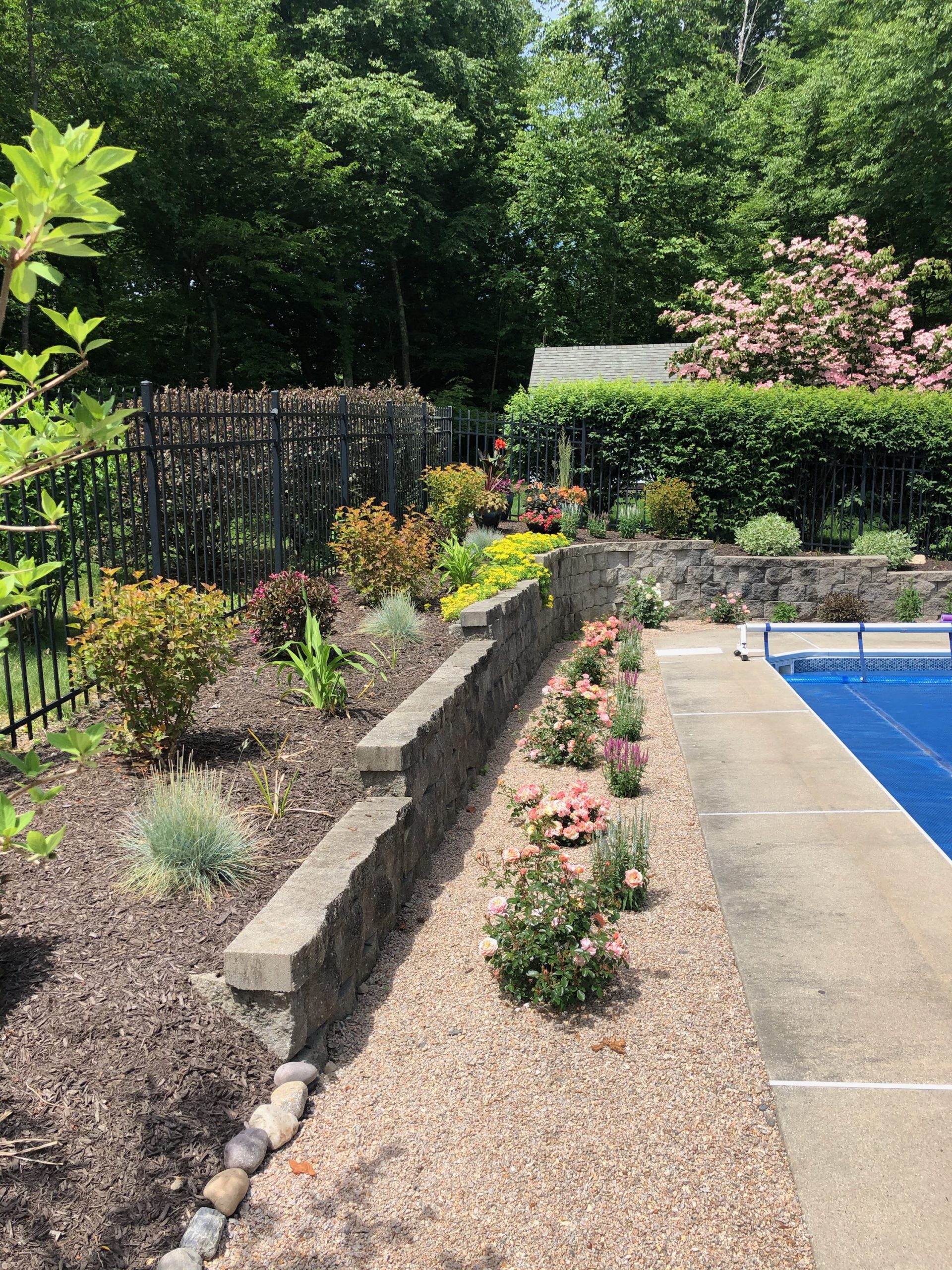 poolside gardens CT from TNT Landscaping & Excavation