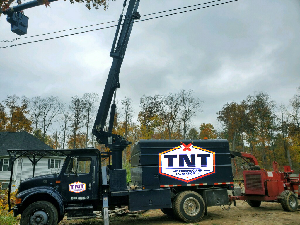 Tnt Tree Removal